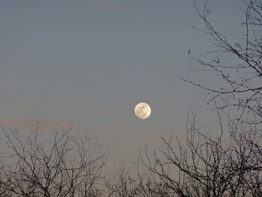 Moon Patagonia State Park