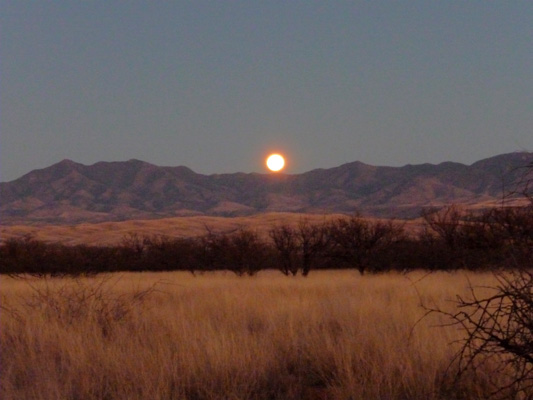 Moonrise over the Whetstone Mts