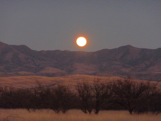 Moonrise over Whetstone Mts