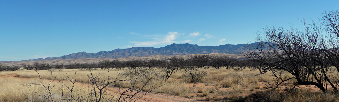 Eastern view morning Las Cienegas NCA