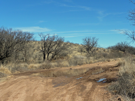 Oak Canyon Rd mud puddle