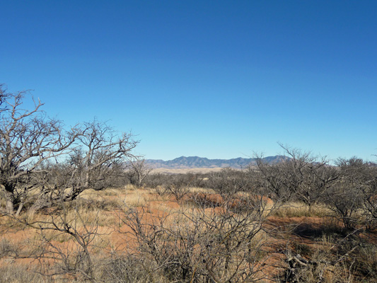 Las Cienegas NCA