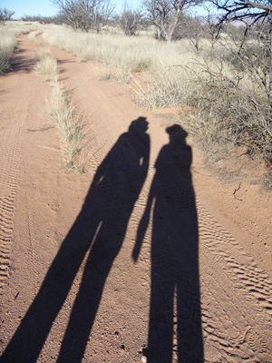 Late afternoon shadows