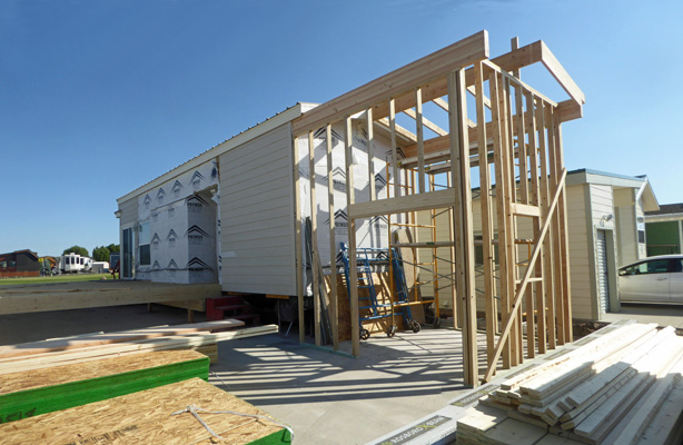 Shed with rafters