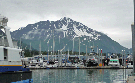 Moorage for tour boats in Seward Alaska