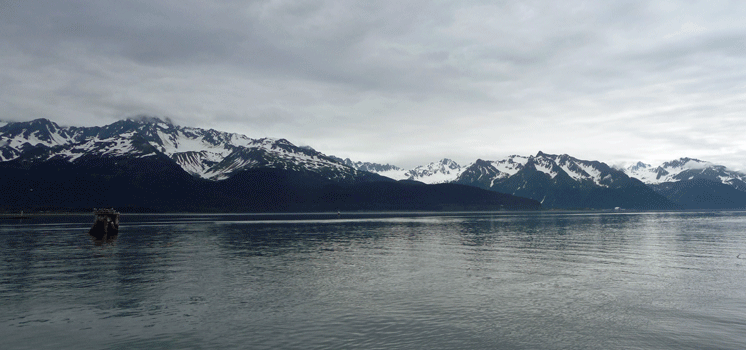 Resurrection Bay Alaska