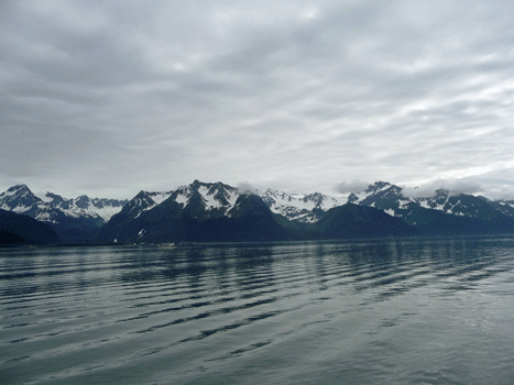 Resurrection Bay Alaska