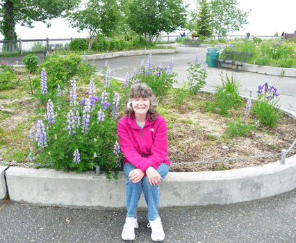 Sara Schurr and arctic lupine Homer Alaska