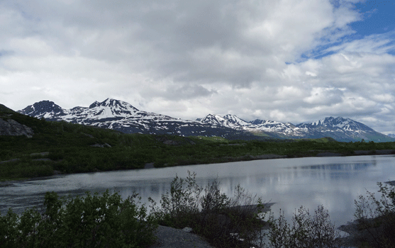 View looking north from Worthington Glacier Alaska