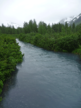 Williwaw Creek Alaska