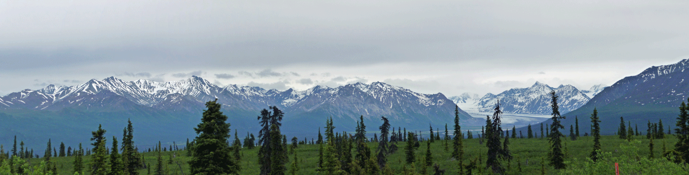 View from Glenn Highway near Nelchina