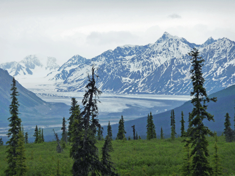 Nelchina Glacier