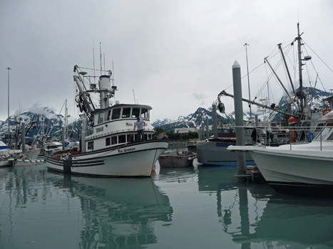 Seiner berthing in Valdez Boat harbor
