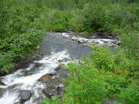 Mineral Creek Road at washout Valdez AK