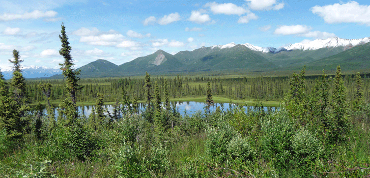 Mentasta Mountains  from Nabesna Road