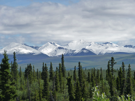 Wrangell Mountains from Rock Lake Nabesna Road Alaska