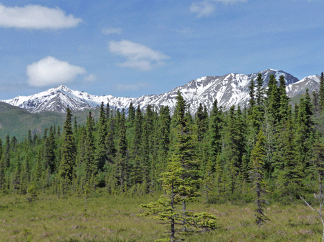 Mentasta Mountains Nabesna Road Alaska