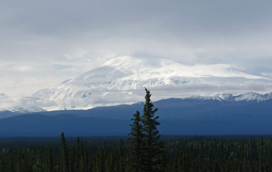 Mount Sanford from Tok Cutoff Road Alaska