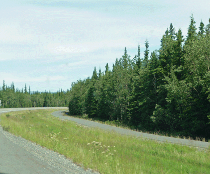 Bicycle Path south of Tok Alaska