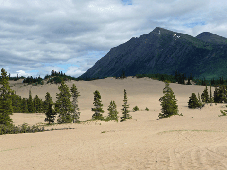 Carcross Desert Yukon