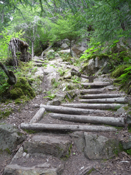 Chilkoot Trail Dyea AK