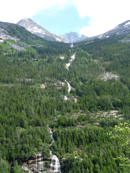 Pitchfork Falls Klondike Highway AK