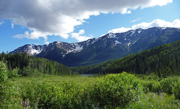 Mountain View RV Park view Iskut BC