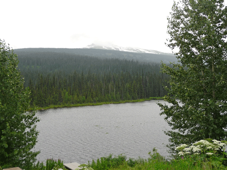 Mehan Lake Cassiar Highway BC
