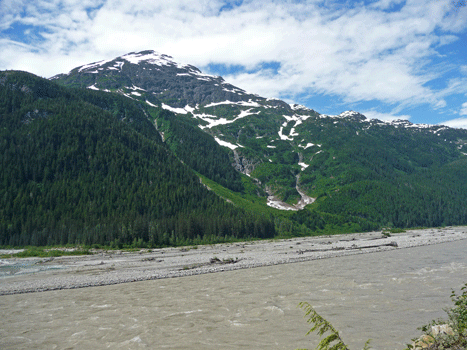 Across the Salmon River BC