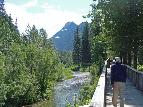 Walter Cooke boardwalk at Fish Creek Hyder AK