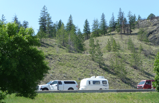 Rosita at rest stop at Lake Kamloops BC