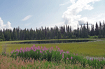 Lake along Yellowhead Highway BC