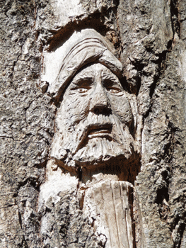 Face carving Ferry Island trail Terrace BC