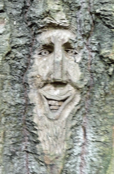 Face carving Ferry Island trail Terrace BC