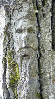 Face carving Ferry Island trail Terrace BC
