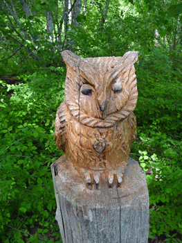Owl carving Ferry Island trail Terrace BC