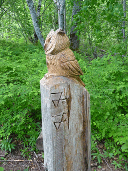 Owl carving Ferry Island trail Terrace BC