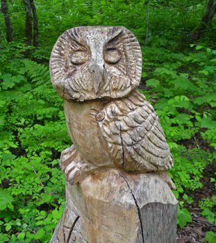 Owl carving Ferry Island trail Terrace BC