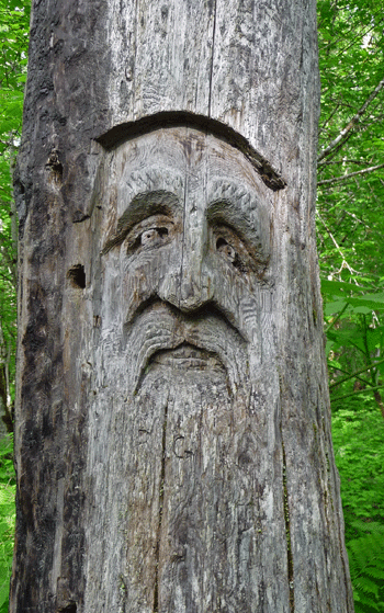 Face carving Ferry Island trail Terrace BC
