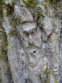Face carving Ferry Island trail Terrace BC