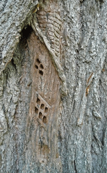 House carving Ferry Island trail Terrace BC