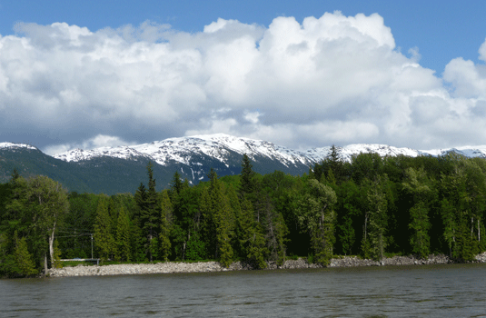 Looking east from Ferry Island Terrace BC