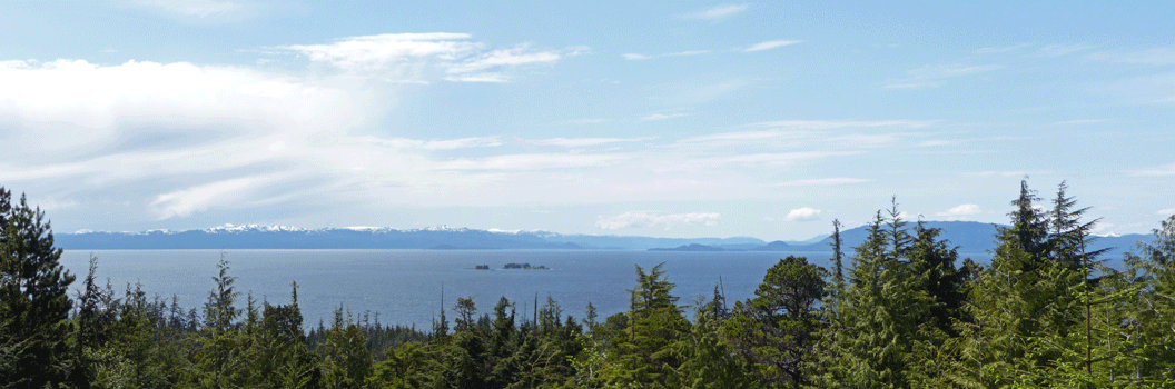 Viewpoint along North Tongass Highway