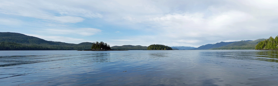 View from dock at Clover Pass Resort Ketchikan AK