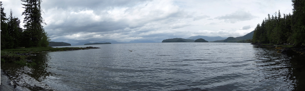 Settler's Cove Ketchikan at high tide