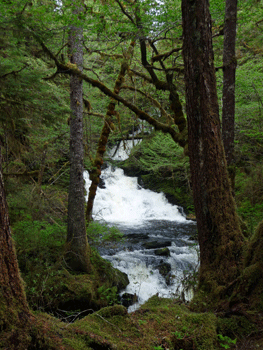 Lunch Creek Falls Settlers Cover Ketchikan AK