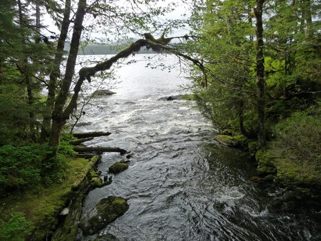 Lunch Creek Settlers Cove Ketchikan AK