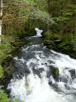 Lunch Creek Falls Settler's Cove Ketchikan AK