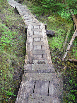 Stairs on Lunch Creek Trail Settlers Cove Ketchikan AK