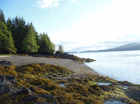 Sandy beach at Settler's Cove Ketchikan AK